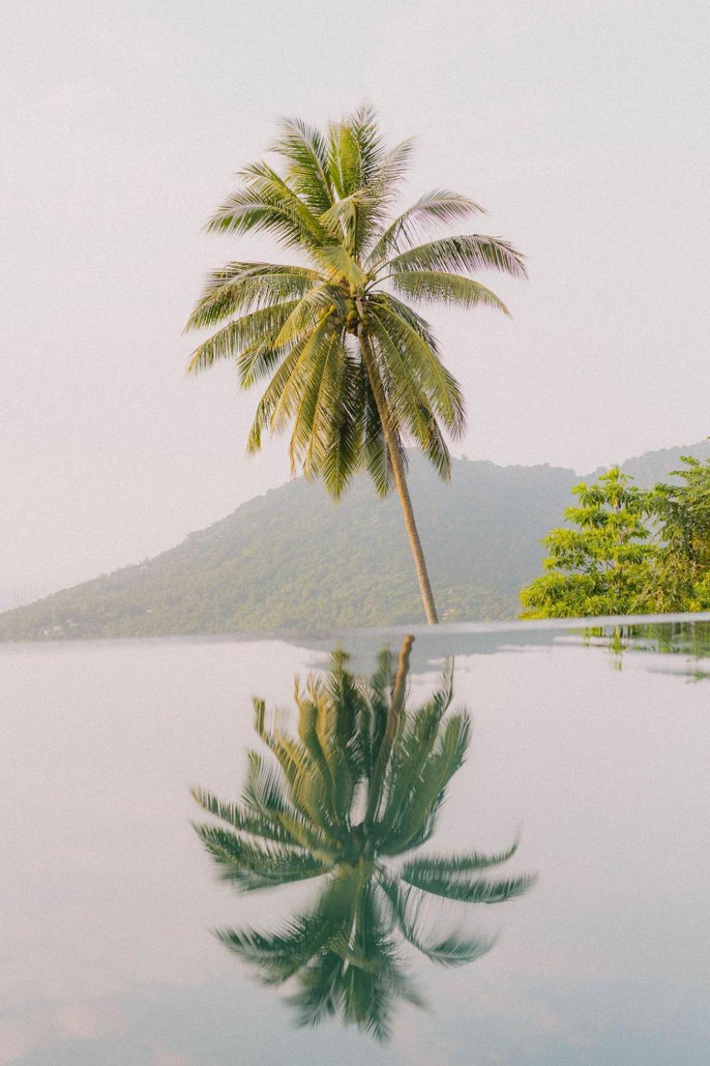 Perfect View Pool Villa Koh Tao Exteriör bild